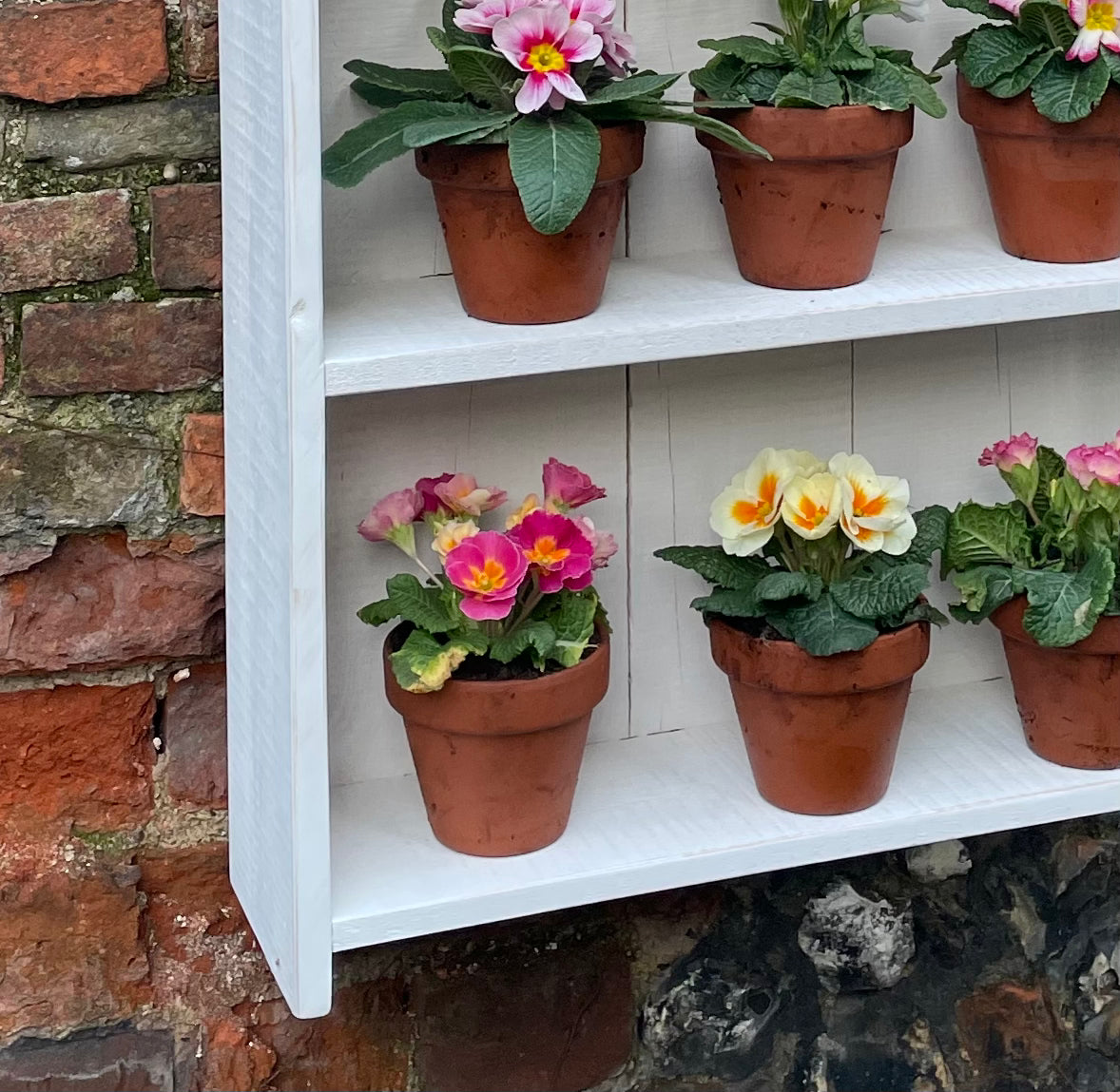 Auricula Theatre