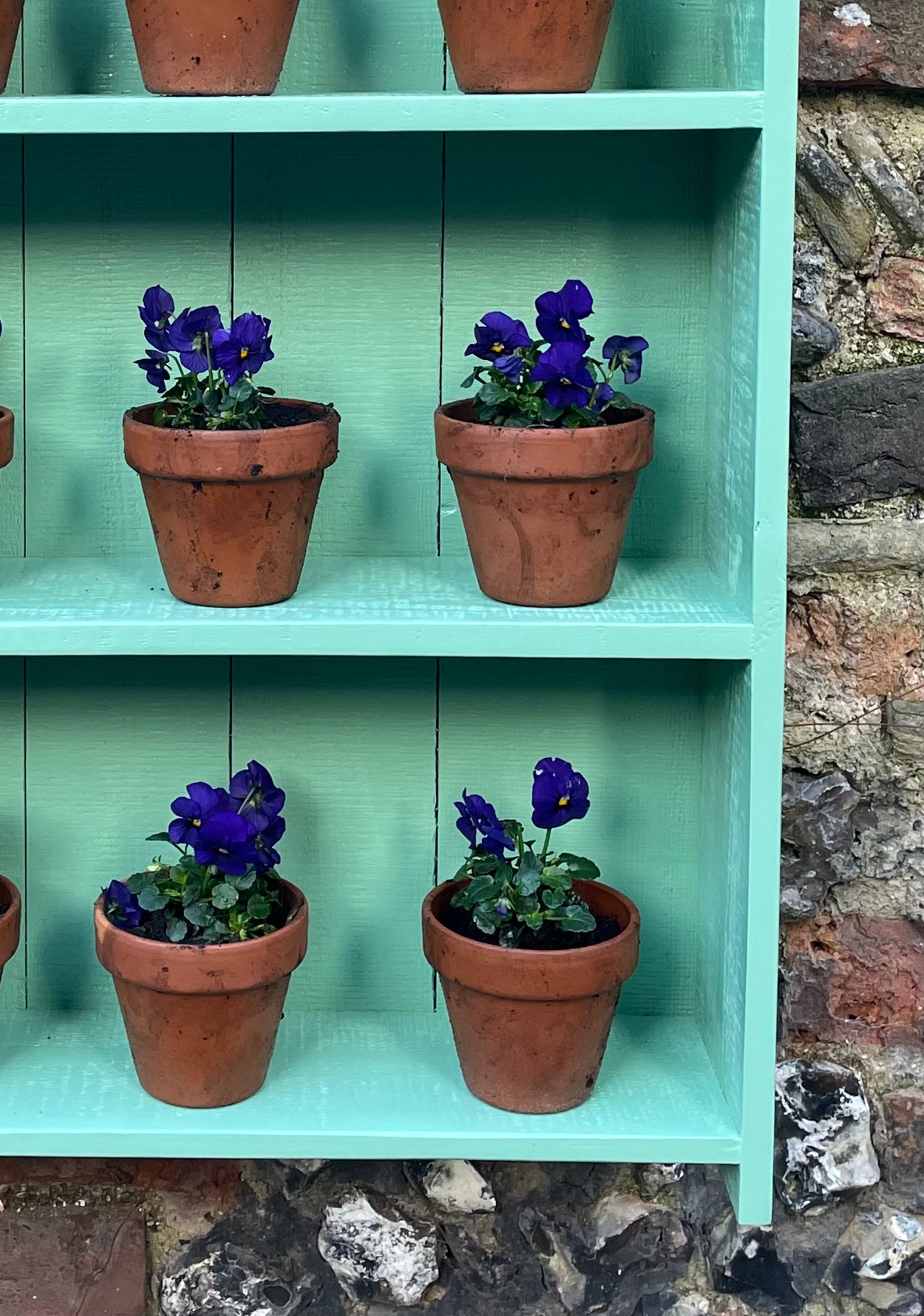Auricula Theatre