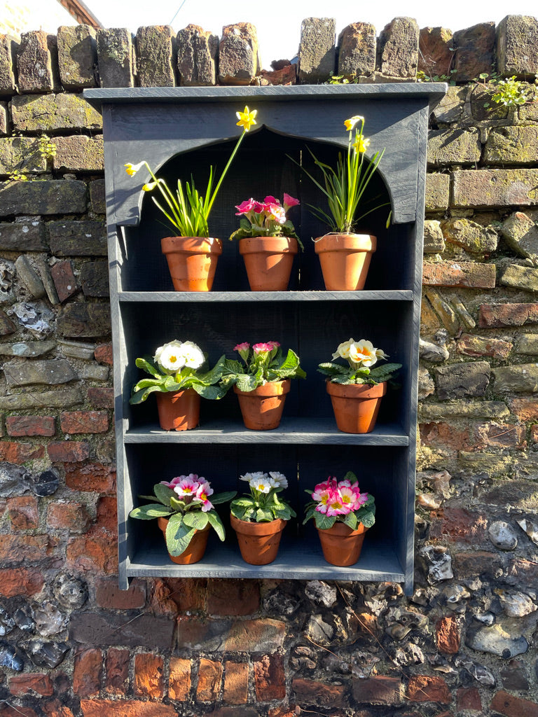 Auricula Theatre, Primroses, Primula, Garden Flower Display Shelves
