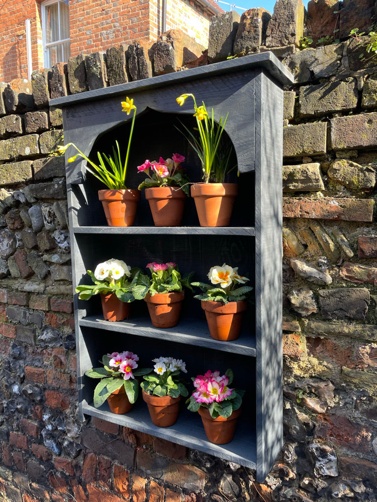 Auricula Theatre, Primroses, Primula, Garden Flower Display Shelves