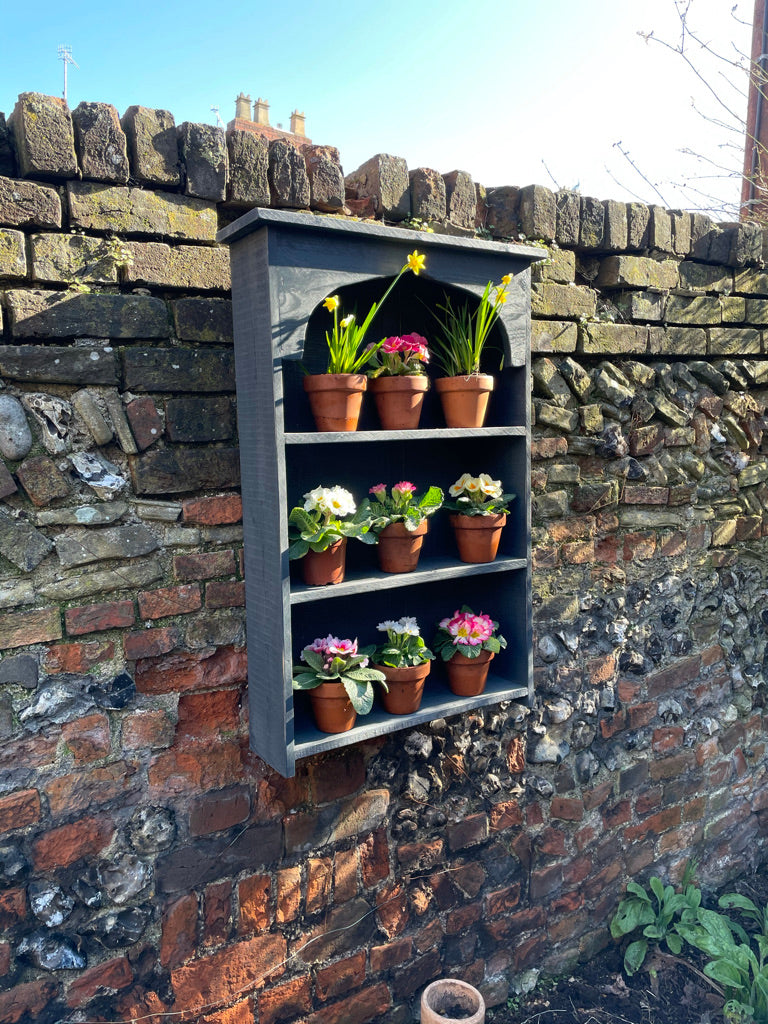 Auricula Theatre, Primroses, Primula, Garden Flower Display Shelves