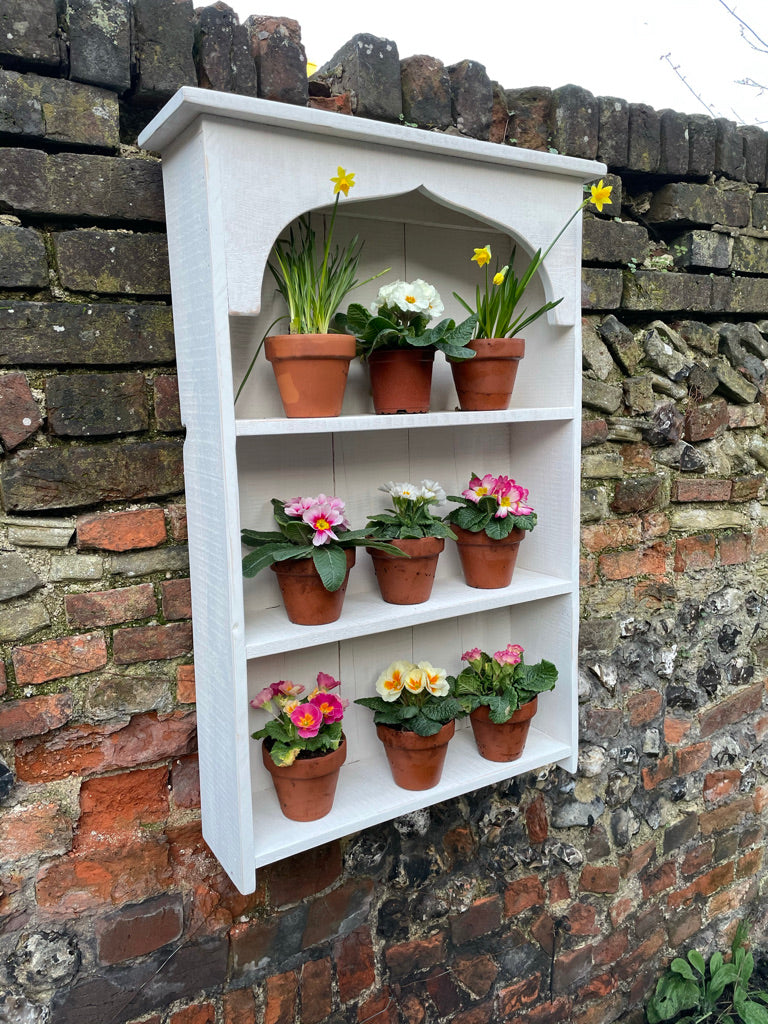Auricula Theatre, Primroses, Primula, Garden Flower Display Shelves