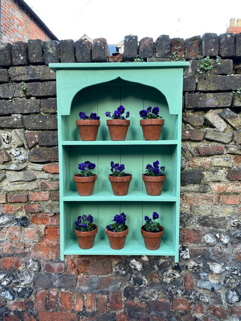 Auricula Theatre, Primroses, Primula, Garden Flower Display Shelves