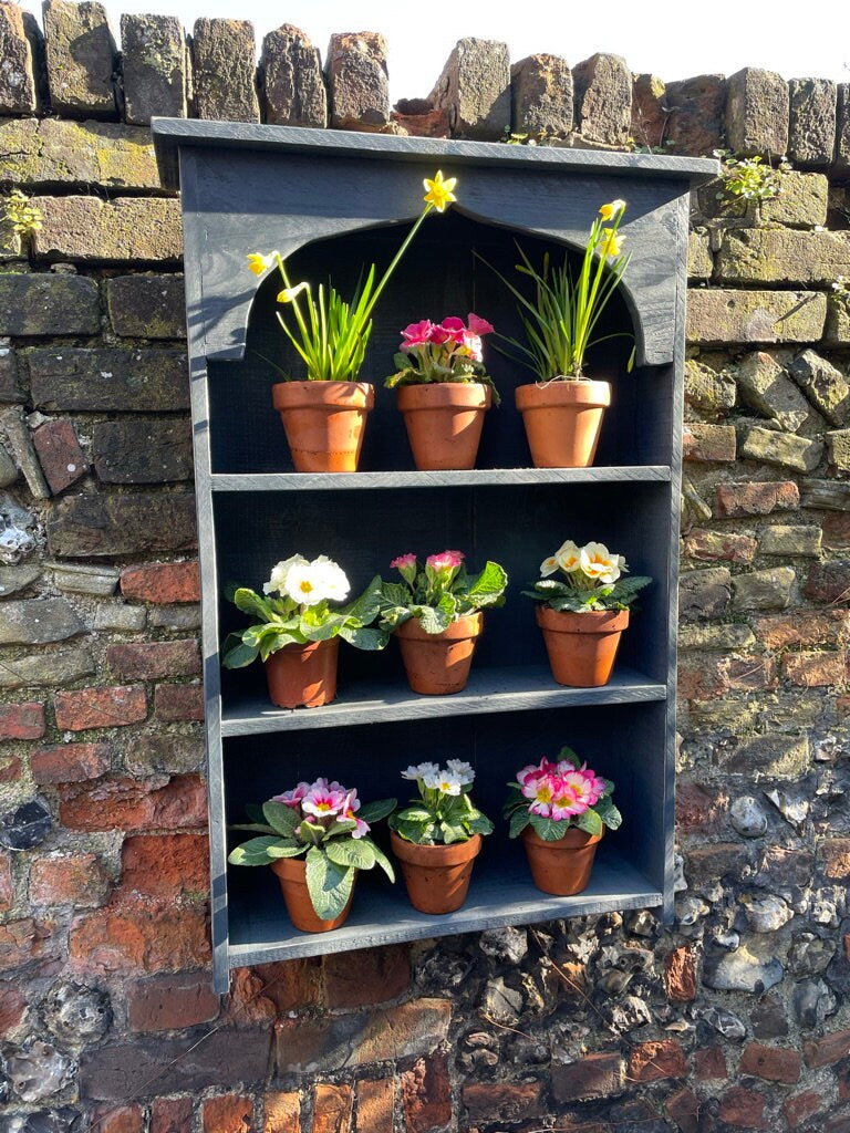 Auricula Theatre, Primrose, Primula, Flower Wall Shelf, Rustic Timber Garden Flower Display Shelves, in Three Colours