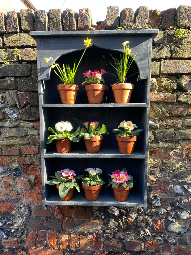 Auricula Theatre, Primrose, Primula, Flower Wall Shelf, Rustic Timber Garden Flower Display Shelves, in Three Colours