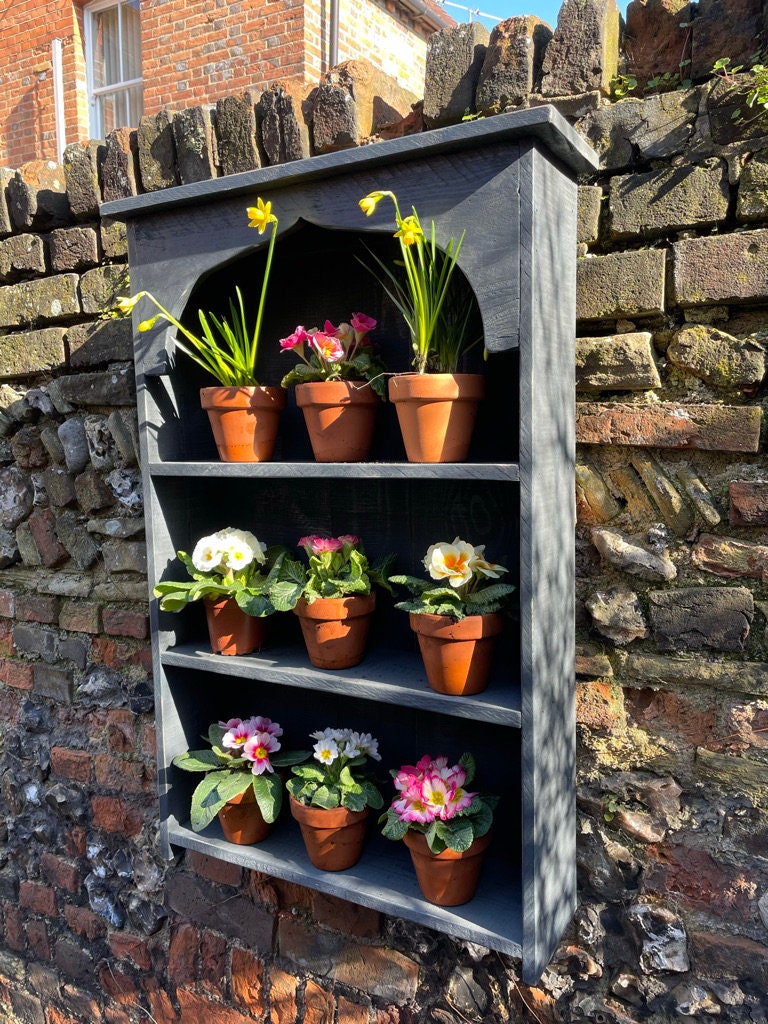 Auricula Theatre, Primrose, Primula, Flower Wall Shelf, Rustic Timber Garden Flower Display Shelves, in Three Colours