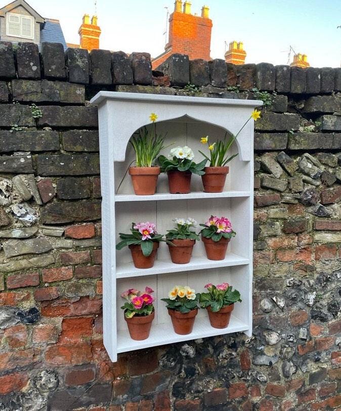 Auricula Theatre, Primrose, Primula, Flower Wall Shelf, Rustic Timber Garden Flower Display Shelves, in Three Colours